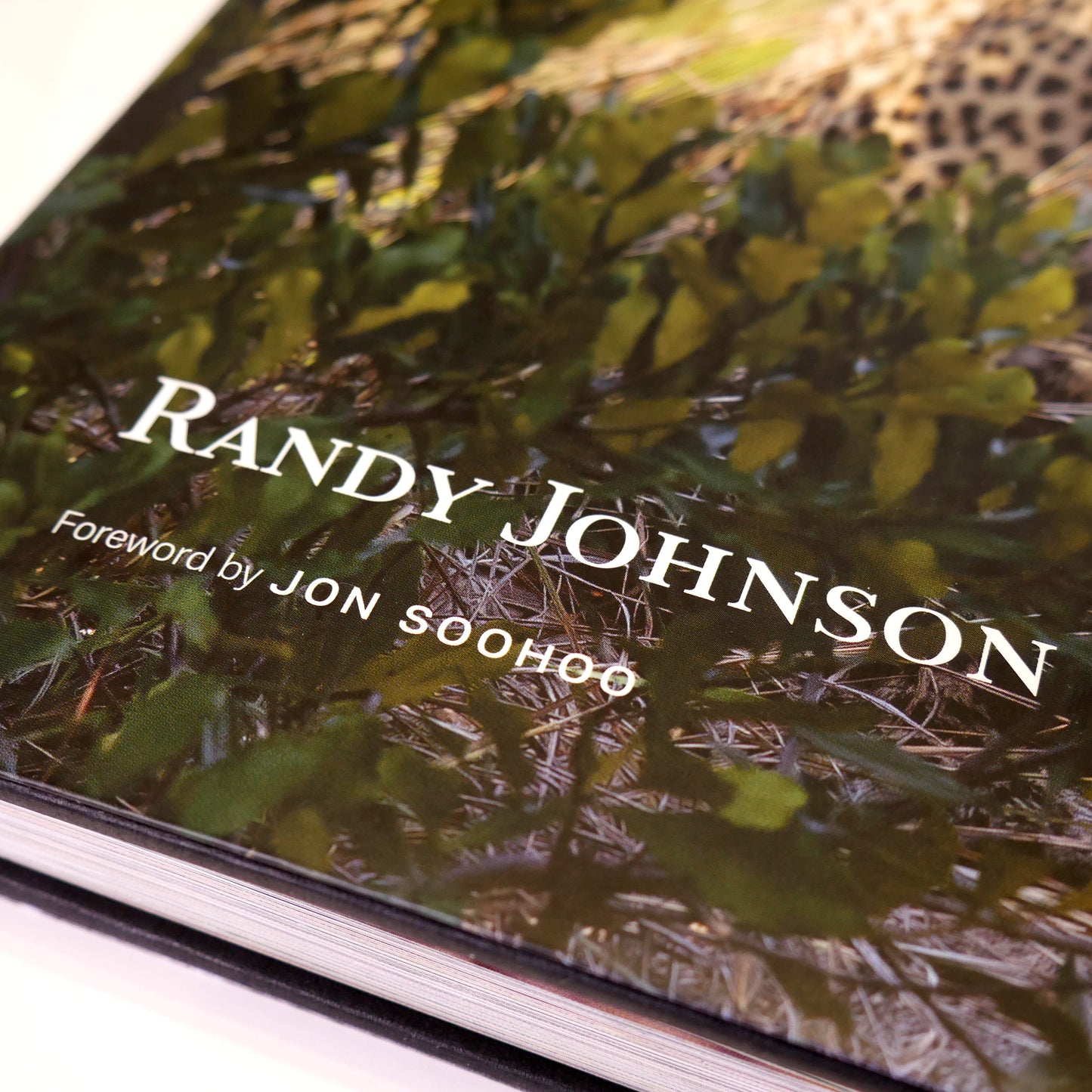 Experiencing Africa by Randy Johnson