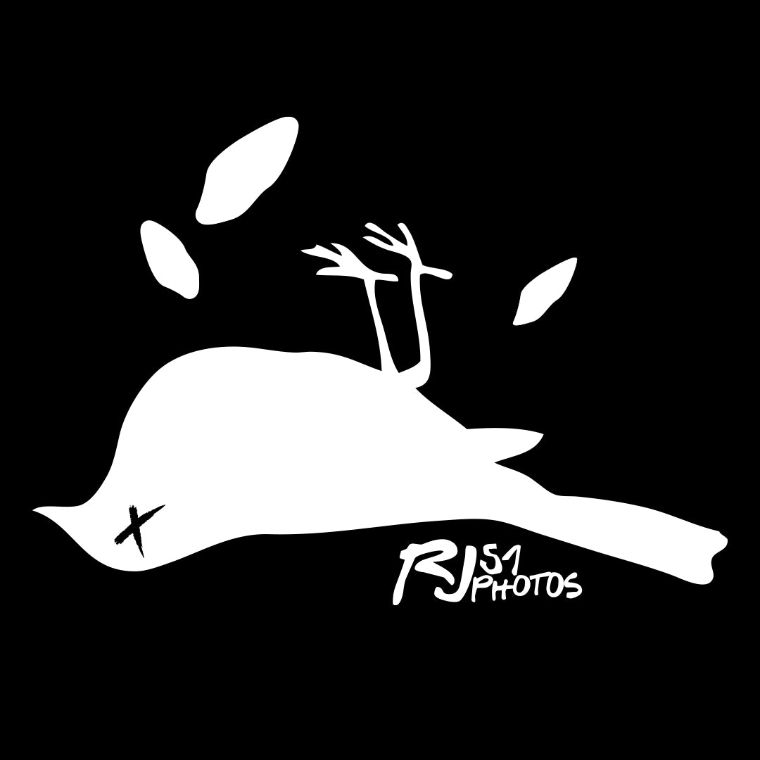 CLASSIC LOGO TEE